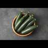 Zucchini Salvador
