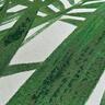 Tropics Outdoor Rug W: 2000mm, L: 2900mm Palm