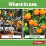 Fertiliser Liquid Citrus Thrive Concentrate