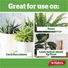 Indoor Natural Fertiliser Spray