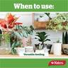 Indoor Natural Fertiliser Spray