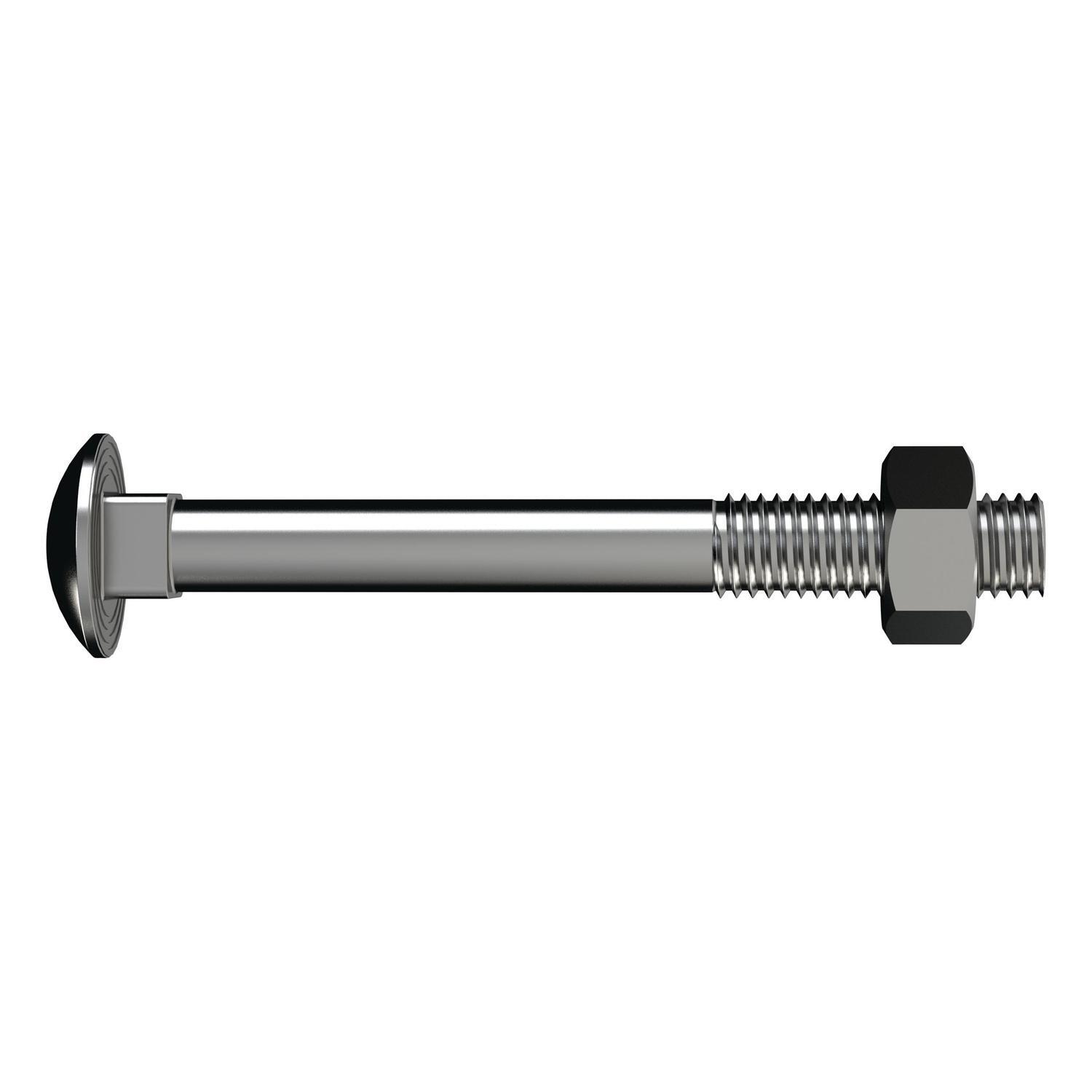 Coach Bolts