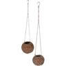 Kokedama Indoor Plant Hanger