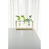 Plant Propagation Station