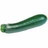 Zucchini Salvador
