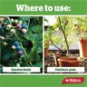 Camellia, Gardenia & Blueberry Fertiliser Granules