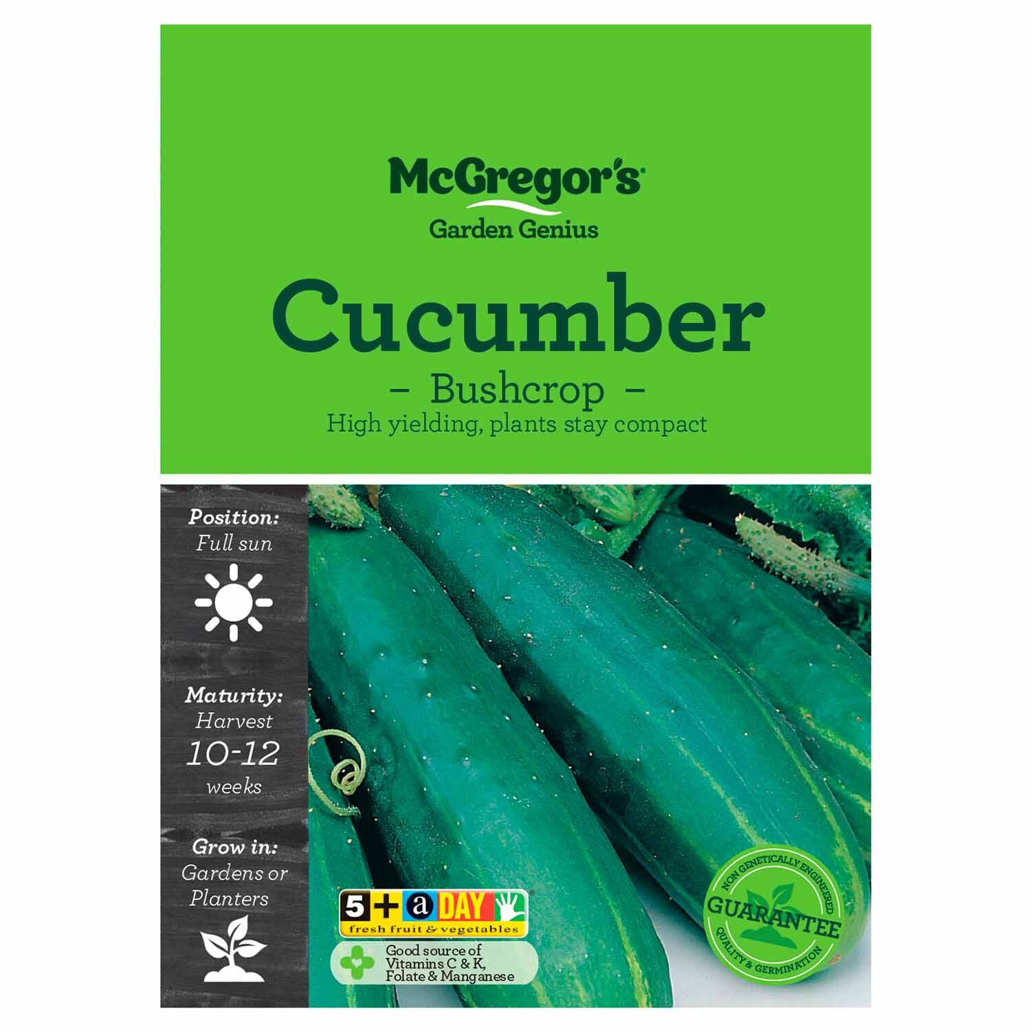 Bushcrop Cucumber  Vegetable Seed