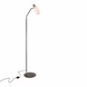 Balmoral Floor Lamp H: 1490mm