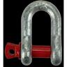 D Shackle  6mm Galvanised