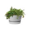 Plastic Round Bowl with Saucer Grey 33cm