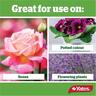 Natural Based Rose & Flower Fertiliser