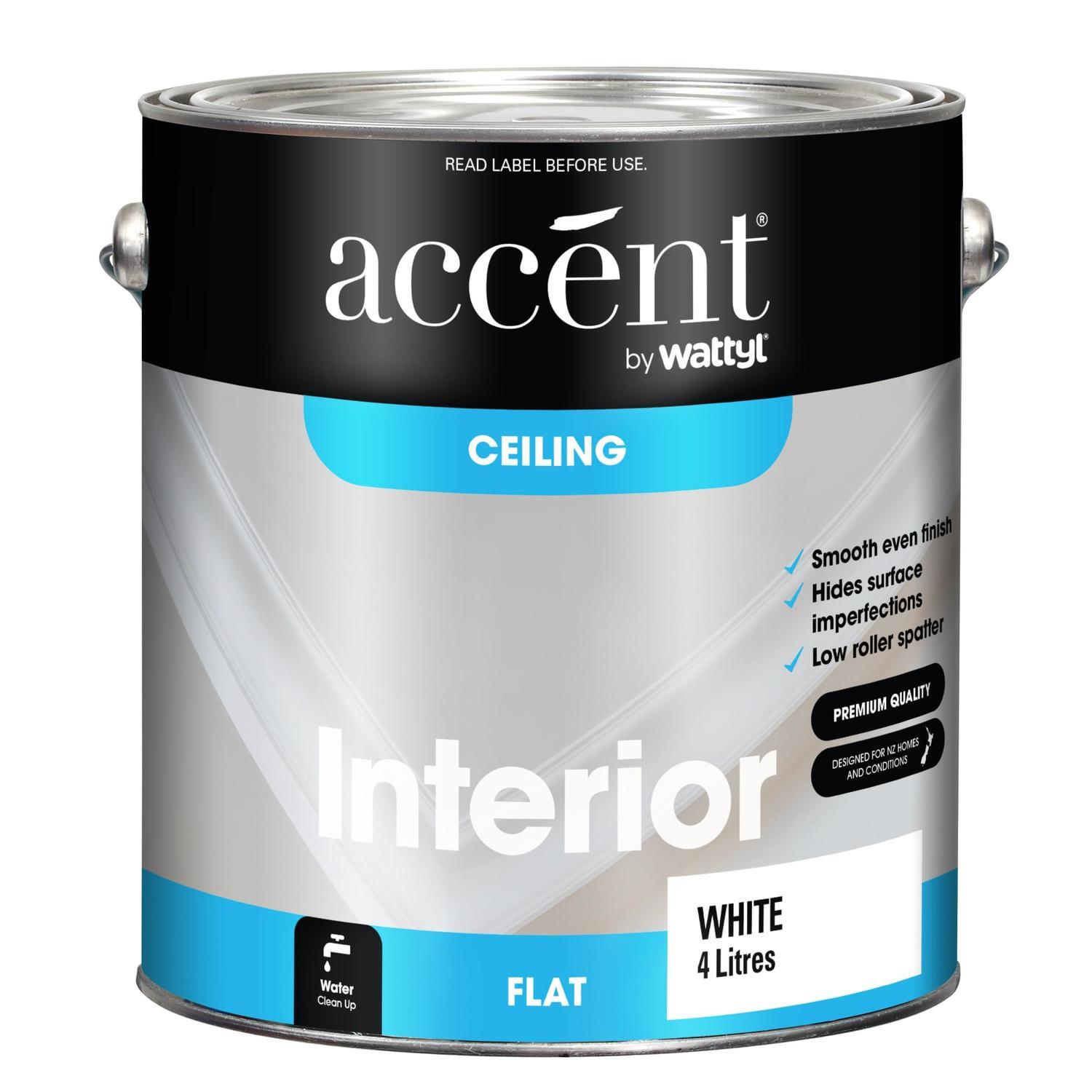 Ceiling Paint Flat