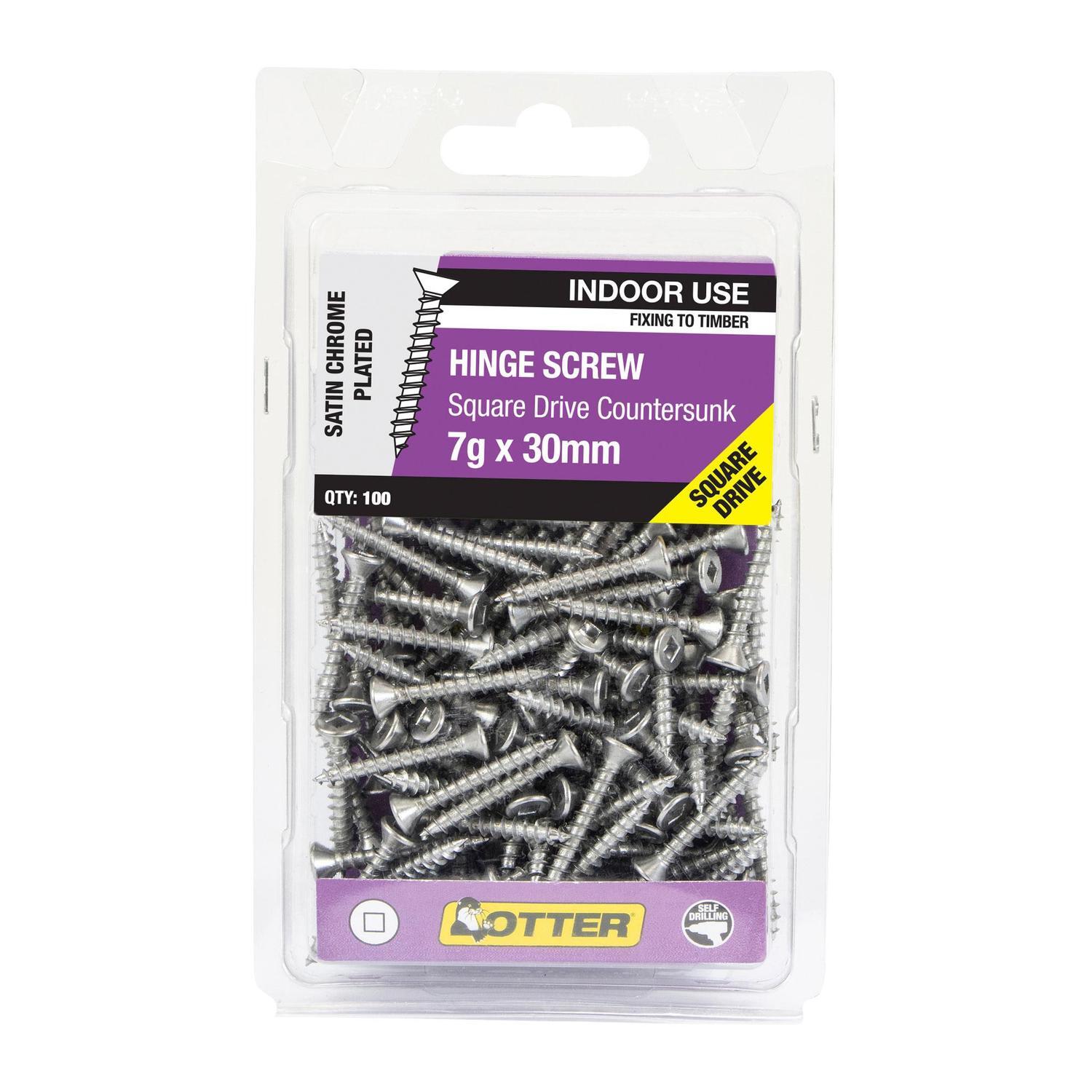 Hinge Screws
