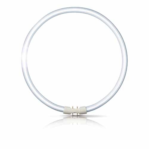 Light bulb Warm White