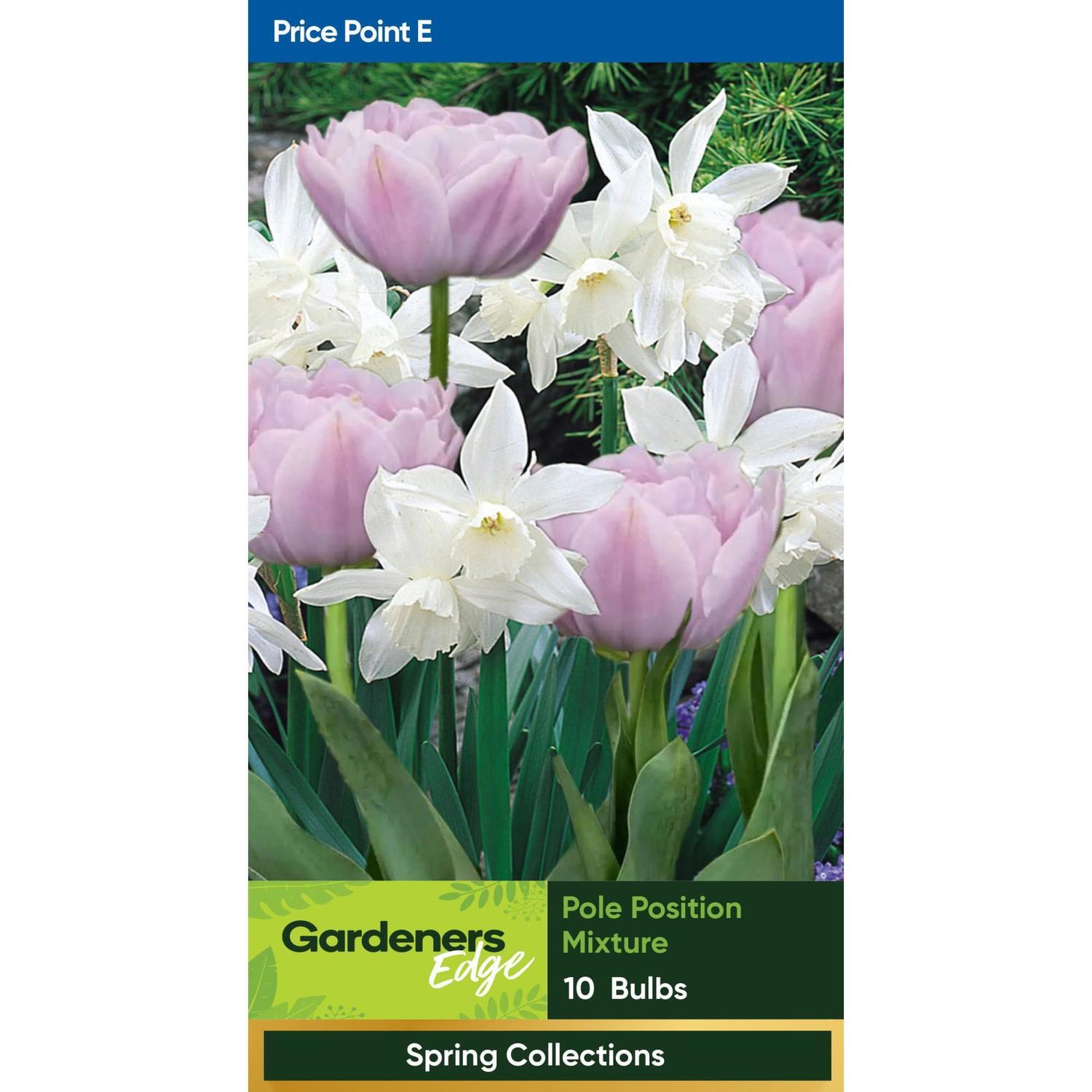 Spring Collection Pole Position 10 Pack
