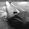 Water Curb 3m