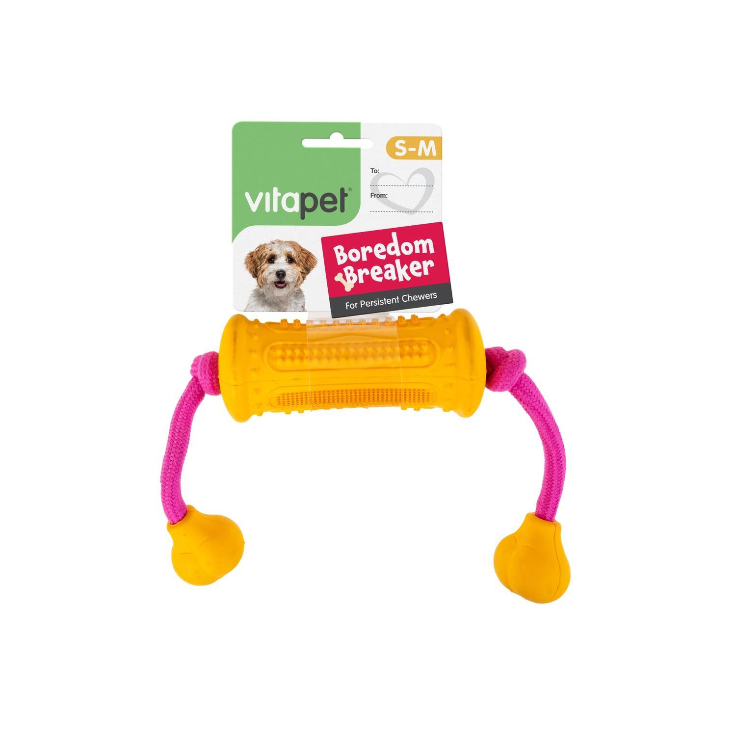 Boredom Breaker Dog Toy