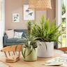 Indoor Cottage Cup Pot Light Green 12.5cm 111 x 122 x 122mm