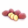 Desiree Seed Potatoes