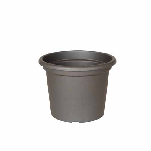 Geo Pot