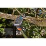 Pruning Lopper