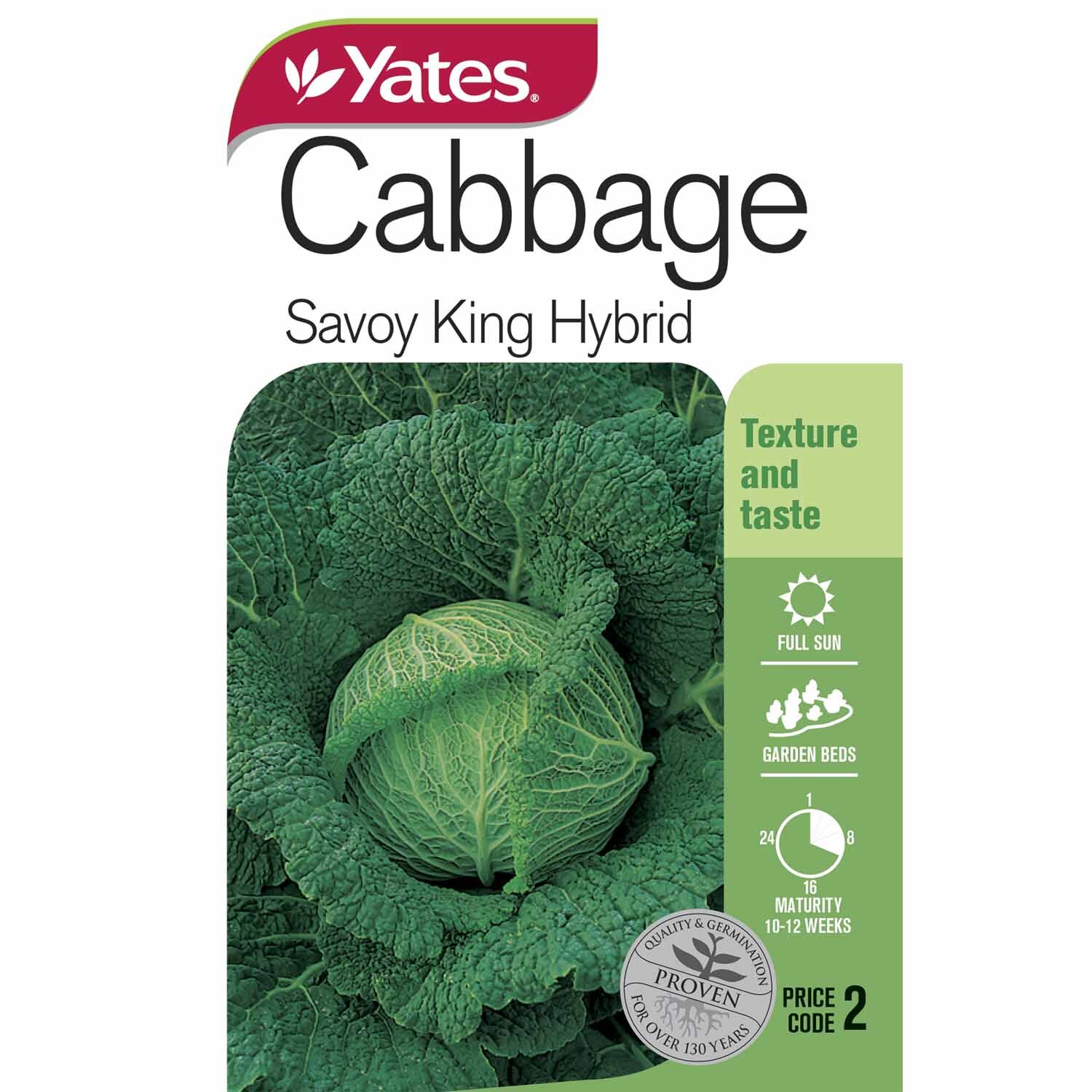 Cabbage 'Savoy King Hybrid'