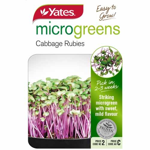 Microgreens Cabbage Rubies