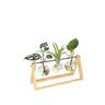 Plant Propagation Station