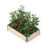 Timber Raised Garden Bed 1.2m x 0.8m Natural Wood