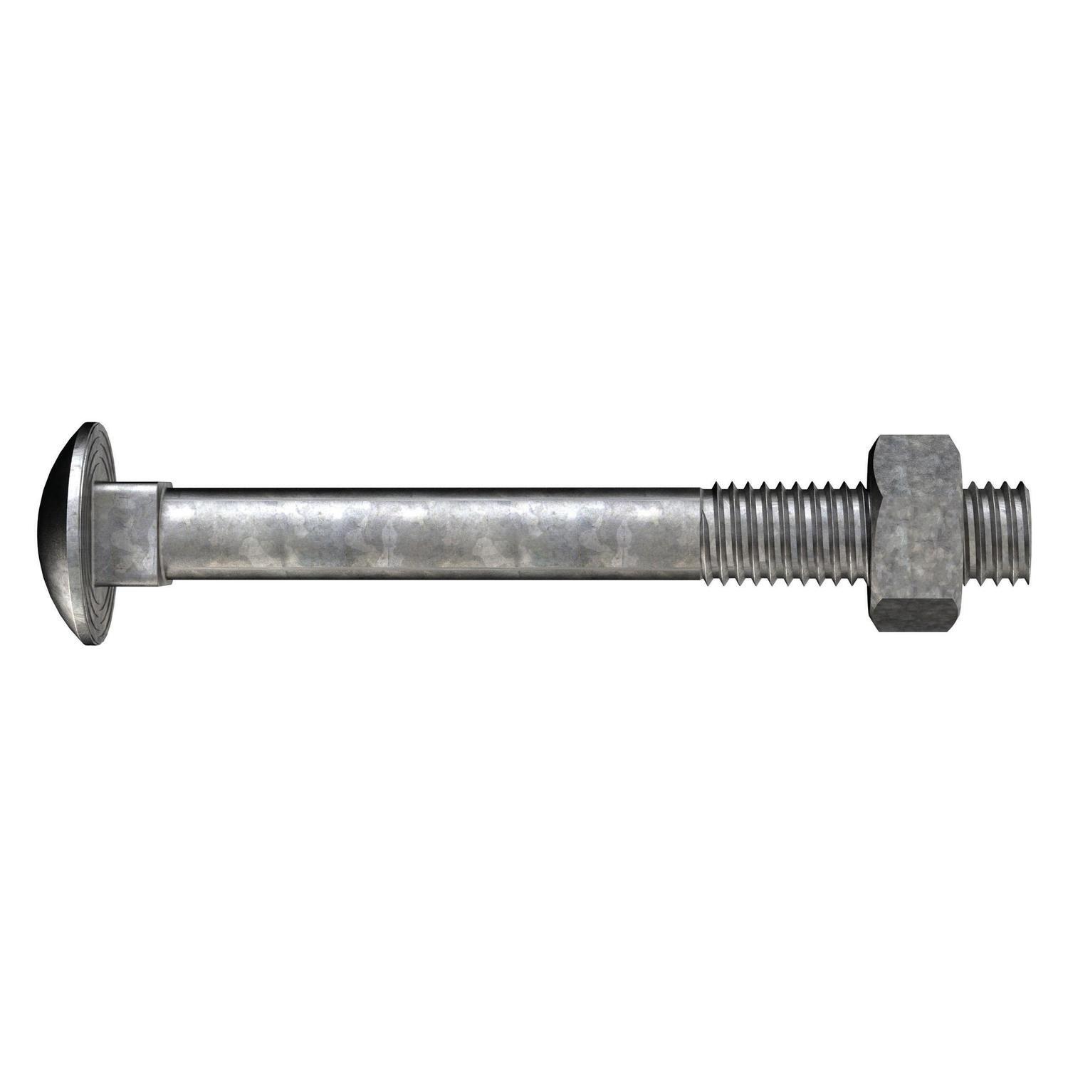 Coach Bolts & Nuts