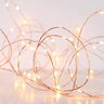 Low Voltage 240 LED Seed Lights