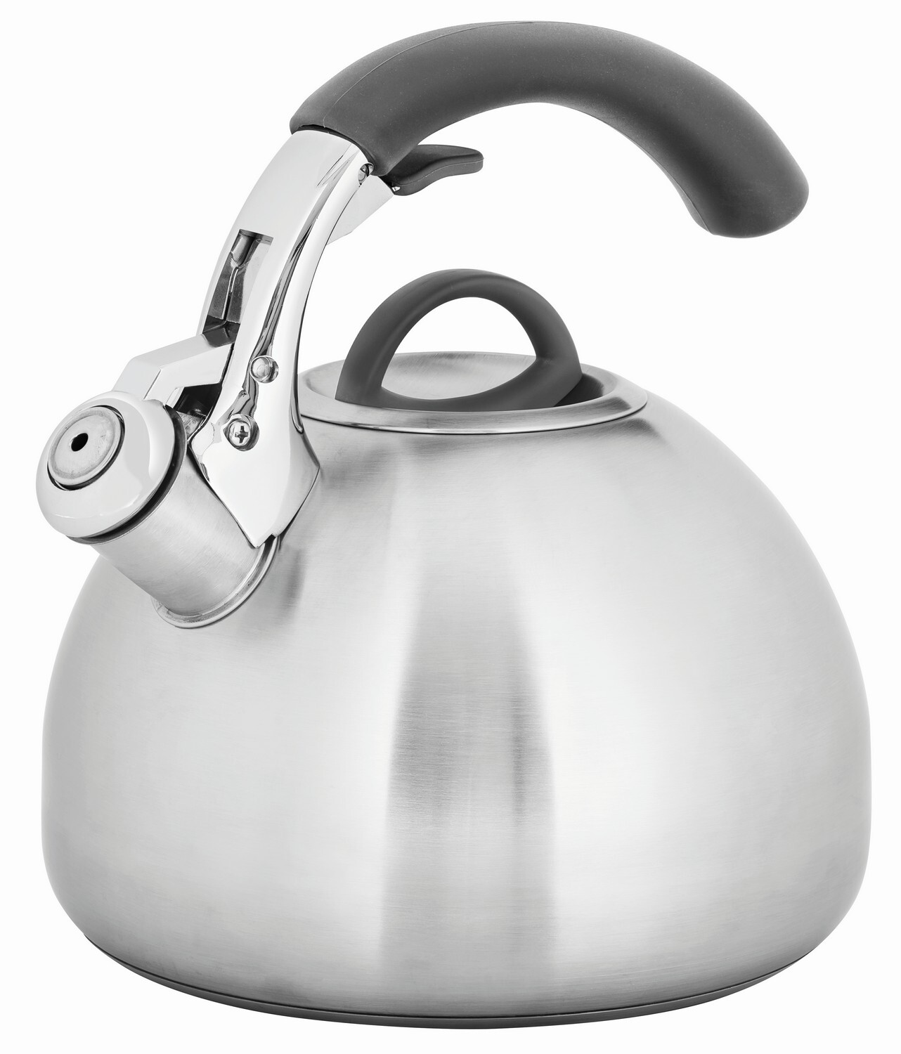 Stainless Steel Whistling Kettle