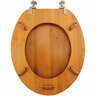 Toilet Seat