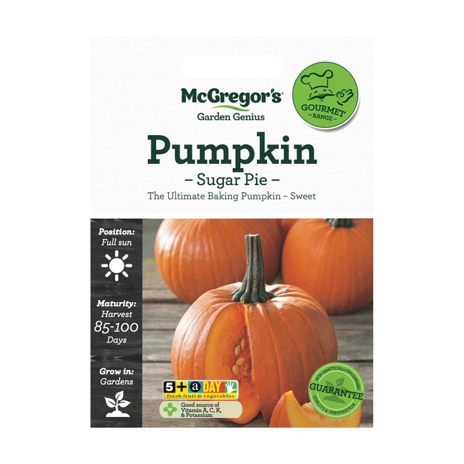 Pumpkin Sugar Pie Vegetable Seed