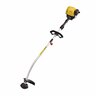Petrol Line Trimmer, 4-Stroke