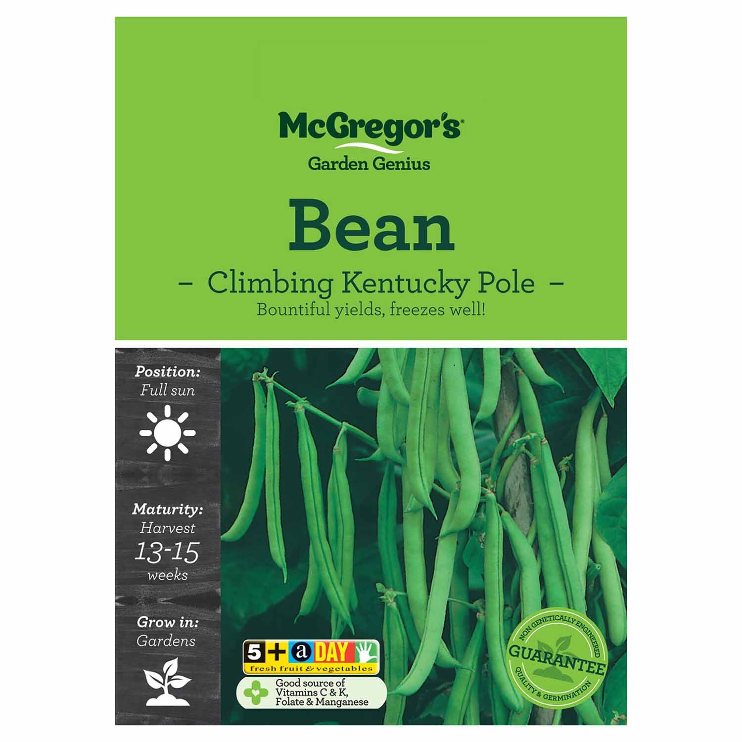 Kentucky Pole Bean  Vegetable Seed