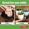 Seed Raising Mix
