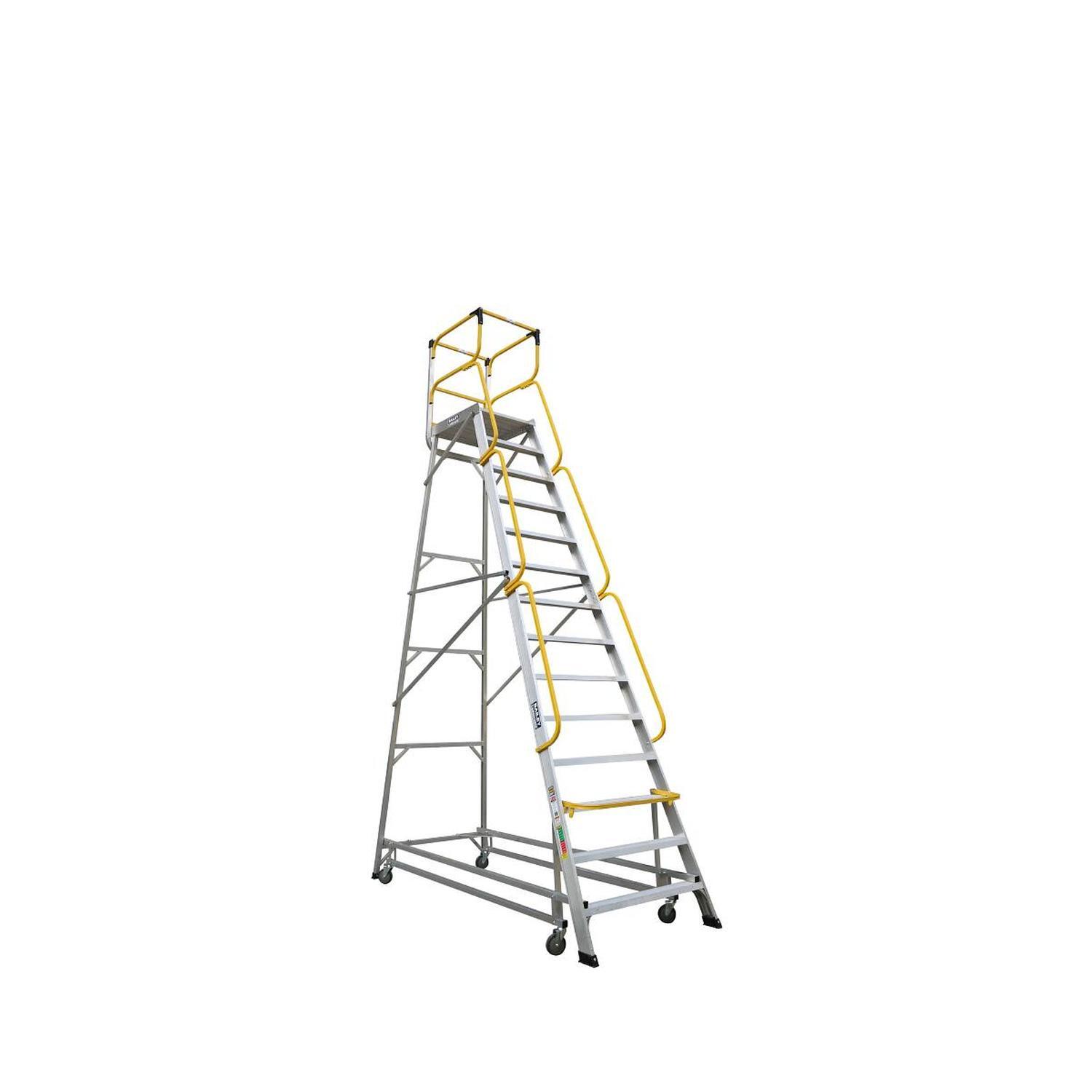 Access Platform Ladder