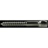 Lag Screws 8mm Stainless Steel 316