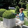 3.6 Volt Cordless Compact Hedge, Shrub Blade 120mm (Isio 3)