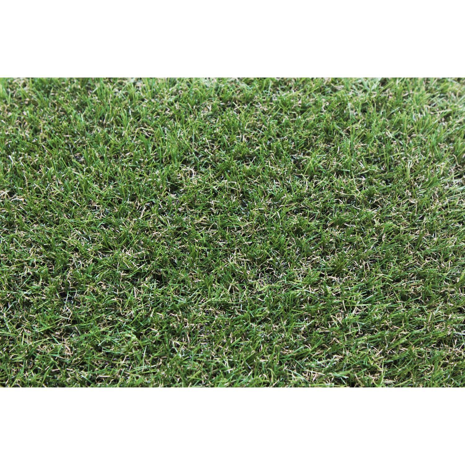 Artificial Grass