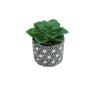 Artificial Succulent Plant in Pot