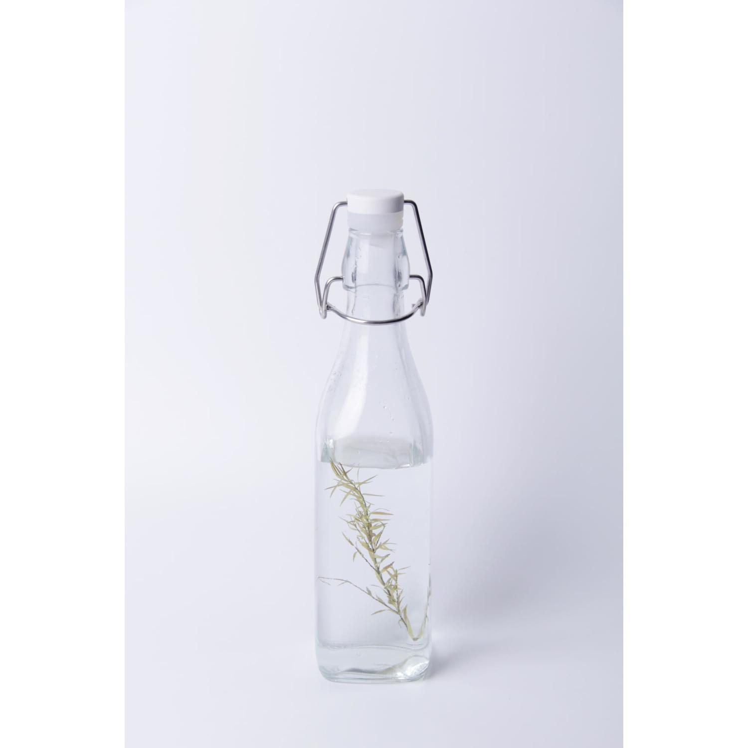 Preserving Bottle Swing Clip 500ml