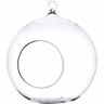 Glass Ball Terrarium