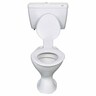 Loline Bottom Inlet Toilet Suite (P) H:925mm W:500mm D:670-730mm White