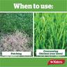 Yates Lawn Seed Tall Fescue 1kg