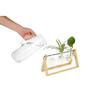 Plant Propagation Station