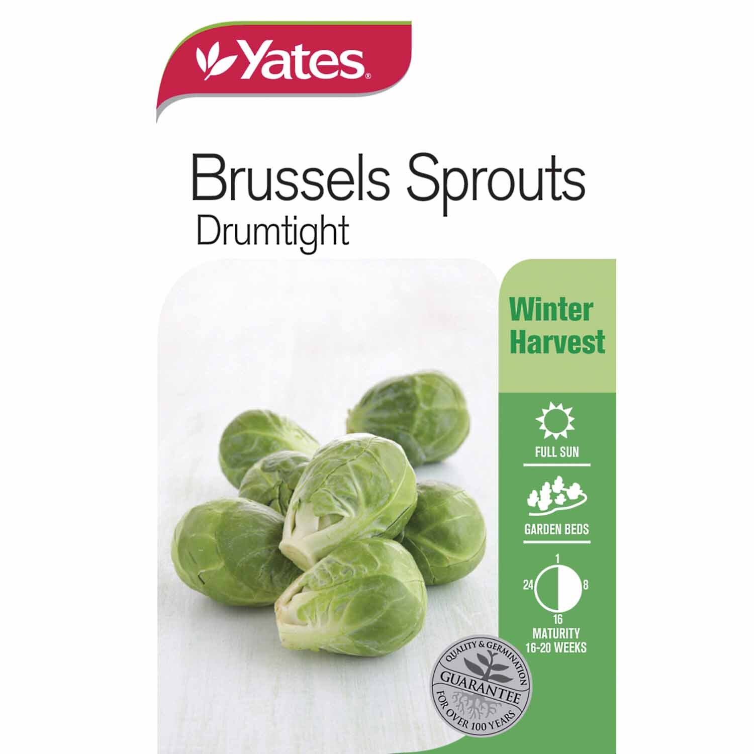 Brussels Sprouts Drumtight