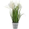 Artificial Pampas Plant In Pot H: 490mm