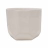 Geometric Ceramic Indoor Pot